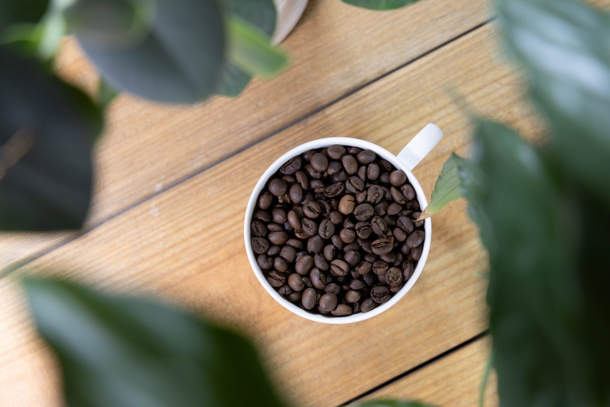 volle dröhnung - 100% Robusta Uganda – Bild 5