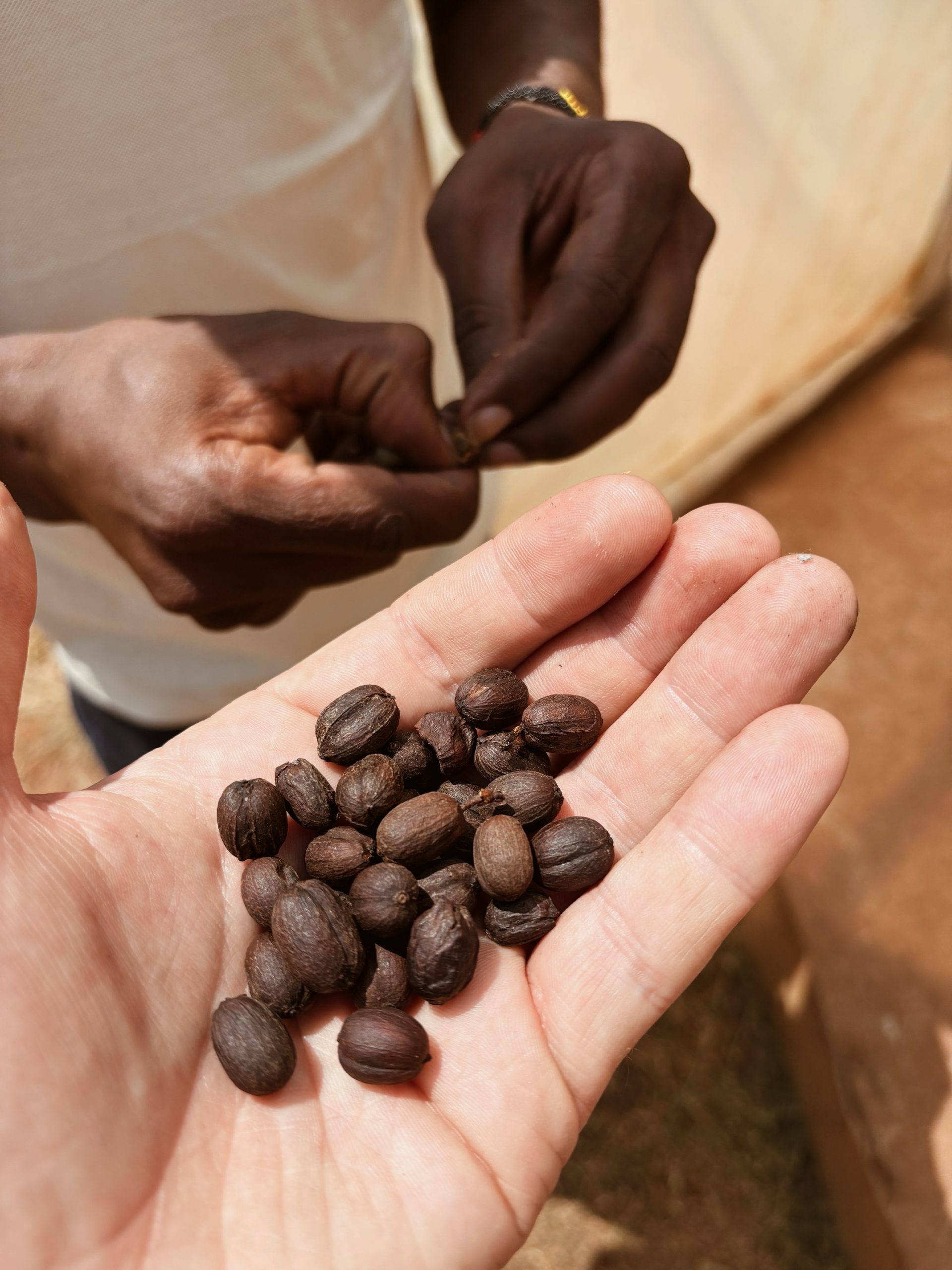 mal mehr, mal weniger - 70/30 Blend Uganda – Bild 5